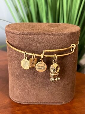 Alex and Ani Gold Owl Charm Bangle Bracelet